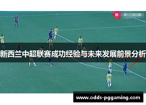 新西兰中超联赛成功经验与未来发展前景分析 新西兰中超联赛成功经验与未来发展前景分析