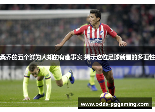 桑乔的五个鲜为人知的有趣事实 揭示这位足球新星的多面性 桑乔的五个鲜为人知的有趣事实 揭示这位足球新星的多面性